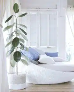 decoración con plantas